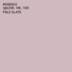 #D0BAC0 - Pale Slate Color Image